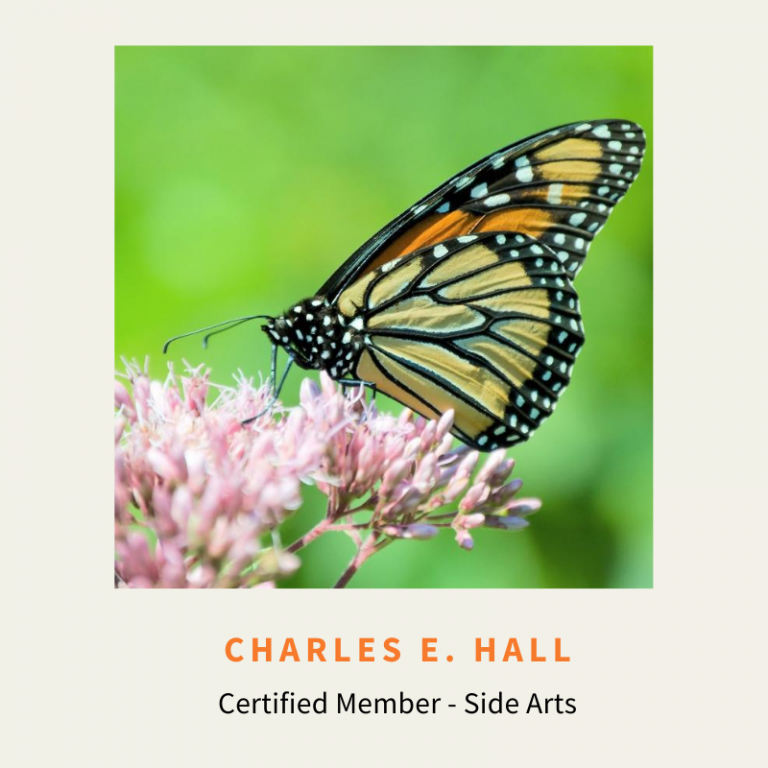 Charles Hall [Certified Visual Artist – Windsor Locks, CT]