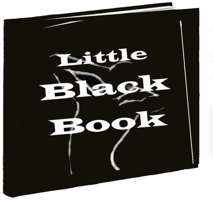 Little Black Book Exhibition (St James, NY) - Call For Artists