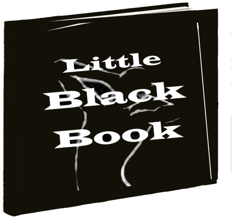 Little Black Book Exhibition (St James, NY) – Call For Artists