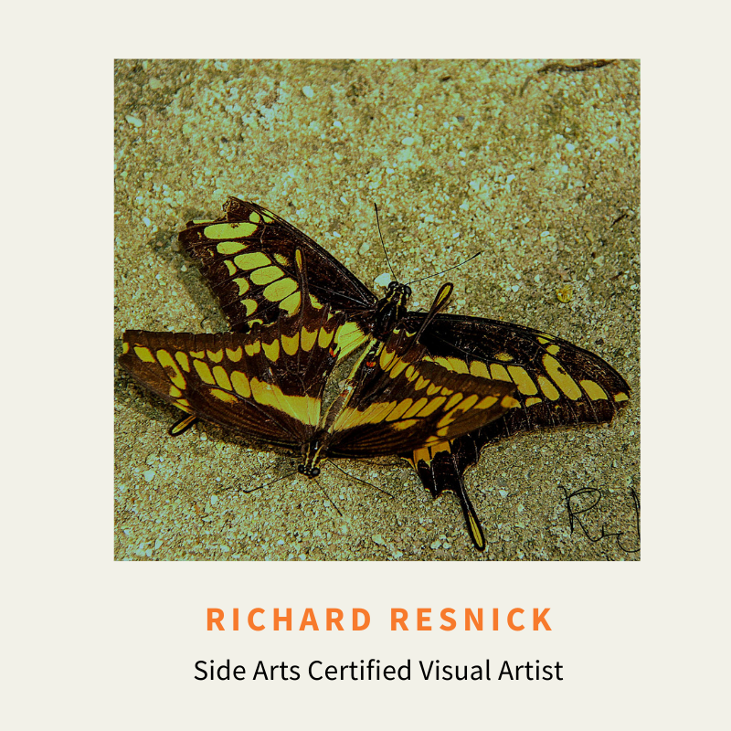 Richard Resnick [Certified Visual Artist - Brooklyn, NY]