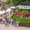 Wild About Art At The Toledo Zoo (Ohio) – Call For Artists