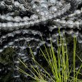 Reflections (Online Photography Competition) – Call For Artists