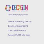 Something Like Joy (Online Photography Competition) – Call For Artists